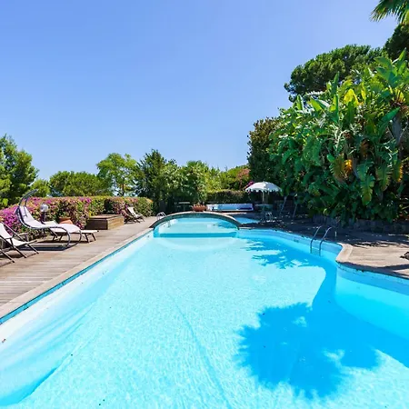 Villa Massimo Cartaromana With Wide Pool And View On The Castle