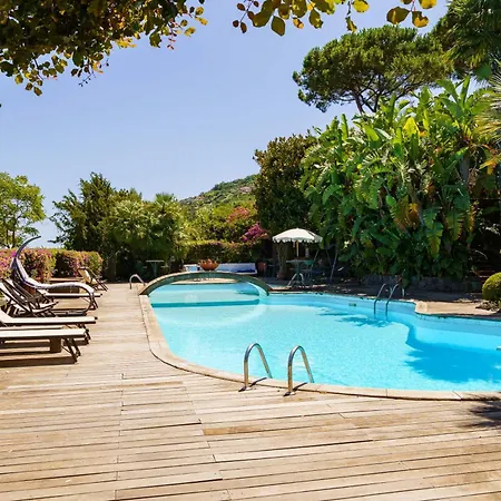 Villa Massimo Cartaromana With Wide Pool And View On The Castle