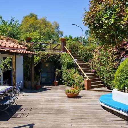 Massimo Cartaromana With Wide Pool And View On The Castle Villa Ischia